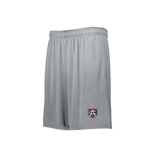 [229511.099.XS-LOGO3] Decker Men's Swift Short (Adult XS, Silver, Logo 3)